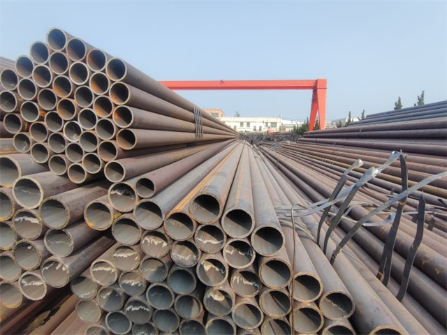 IMG_20230401_153515.jpg IMG_20230401_153515.jpg