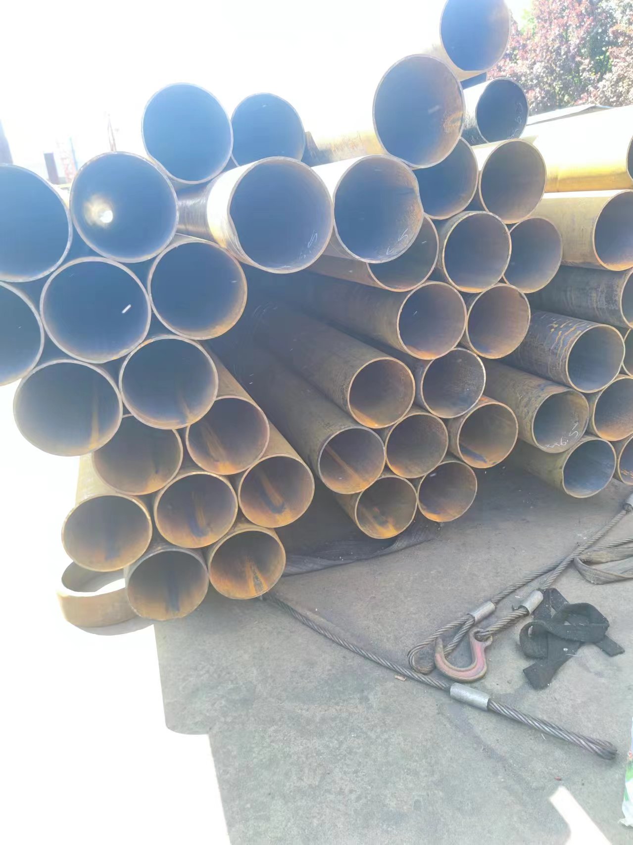 微信圖片_20240507150620.jpg 微信圖片_20240507150620.jpg